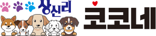 Ÿ ڳ ΰ